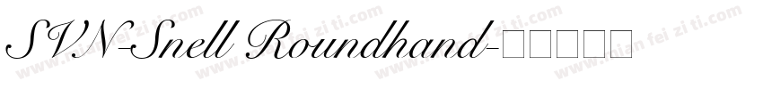 SVN-Snell Roundhand字体转换